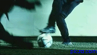 davids